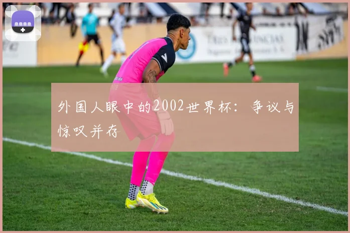 外国人眼中的2002世界杯：争议与惊叹并存