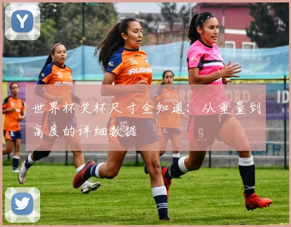 世界杯奖杯尺寸全知道：从重量到高度的详细数据